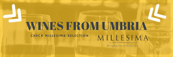 Wines from Umbria - Millesima Affiliate Banner