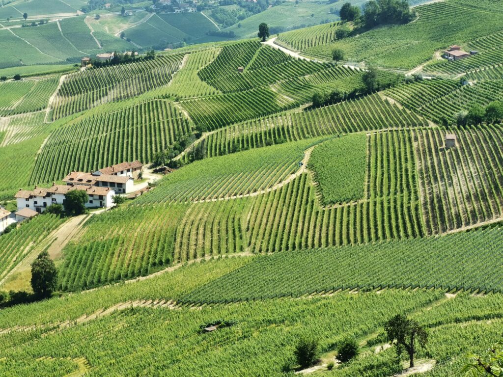 Italian wine region - La Morra Piedmont